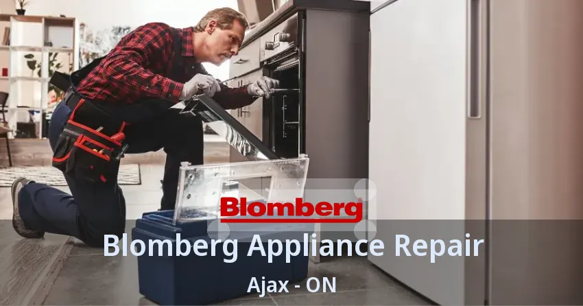 Blomberg Appliance Repair Ajax - ON