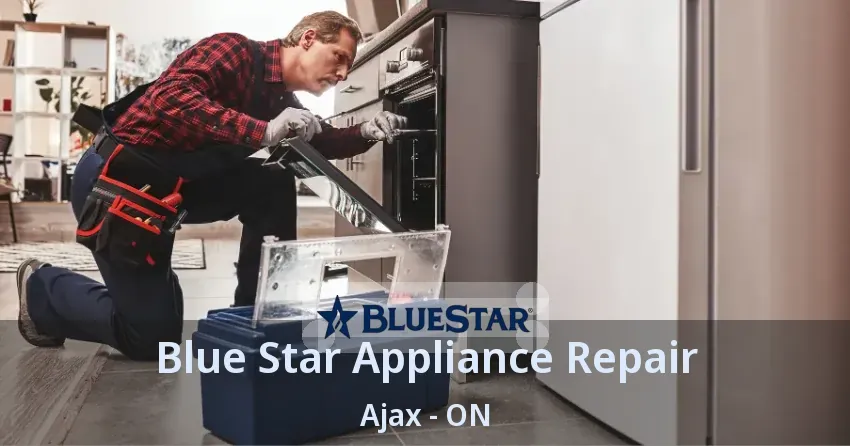 Blue Star Appliance Repair Ajax - ON