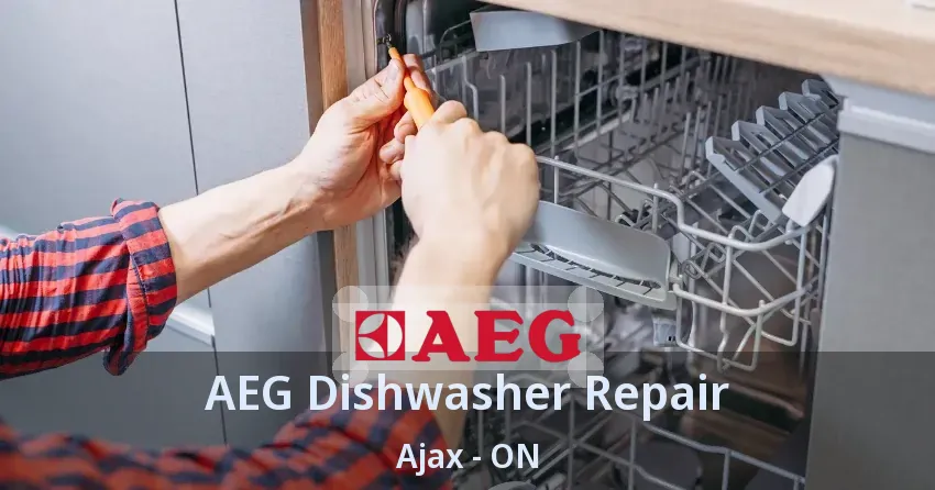 AEG Dishwasher Repair Ajax - ON