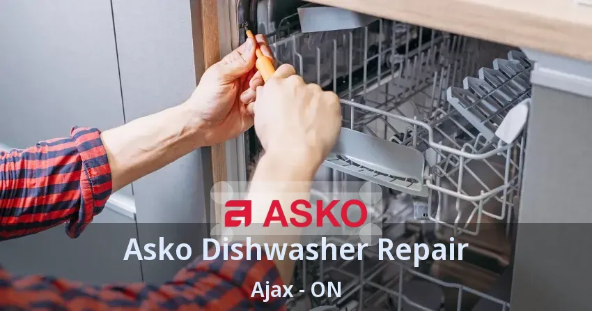 Asko Dishwasher Repair Ajax - ON