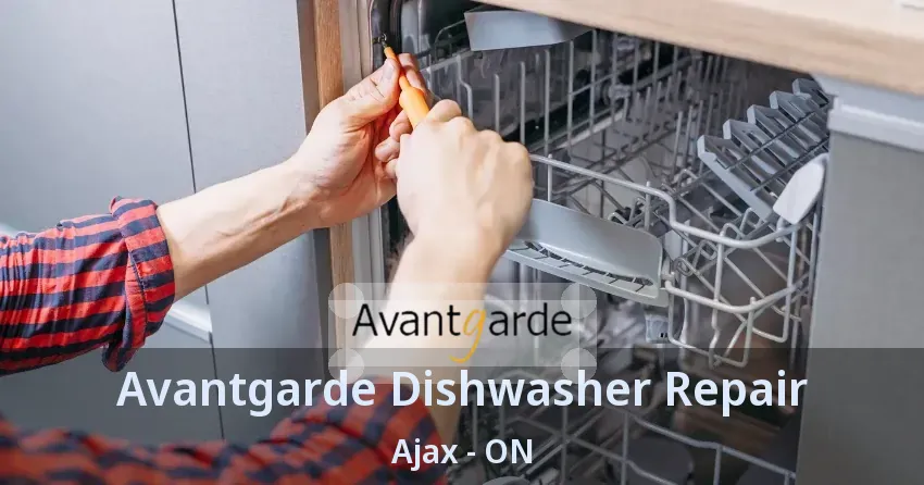 Avantgarde Dishwasher Repair Ajax - ON