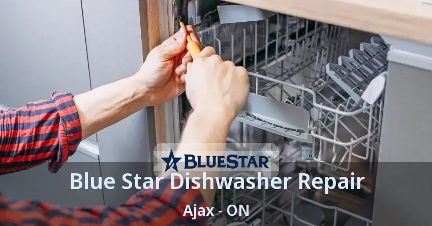 Blue Star Dishwasher Repair Ajax - ON