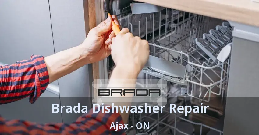 Brada Dishwasher Repair Ajax - ON