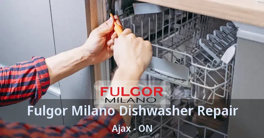 Fulgor Milano Dishwasher Repair Ajax - ON
