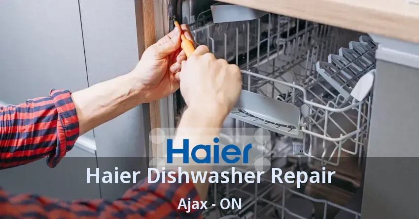 Haier Dishwasher Repair Ajax - ON