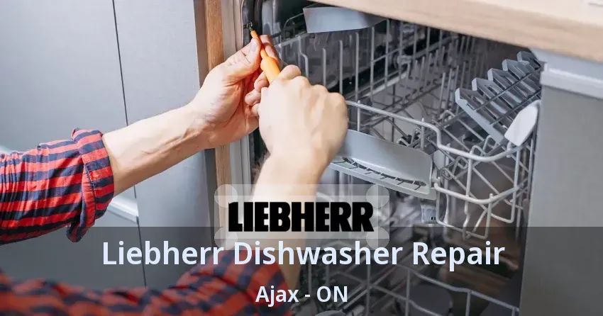 Liebherr Dishwasher Repair Ajax - ON