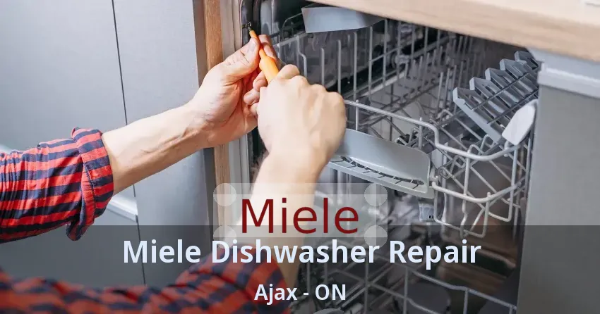 Miele Dishwasher Repair Ajax - ON