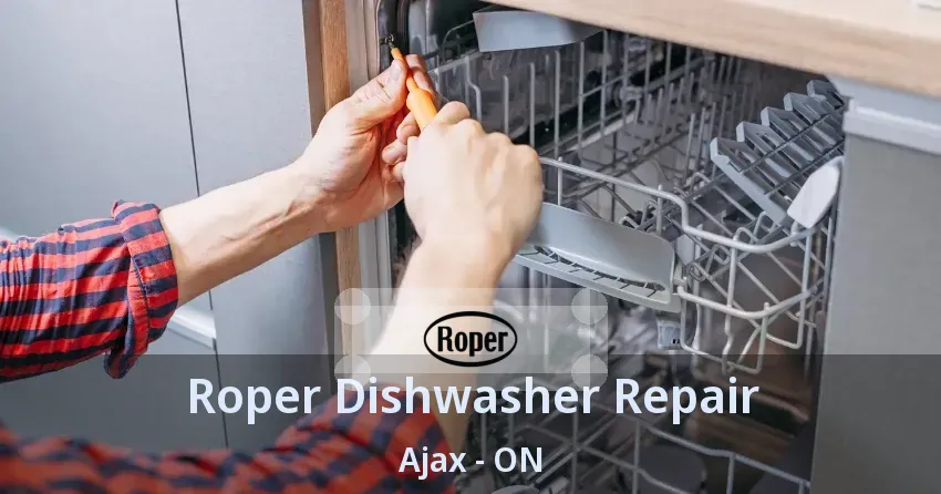 Roper Dishwasher Repair Ajax - ON