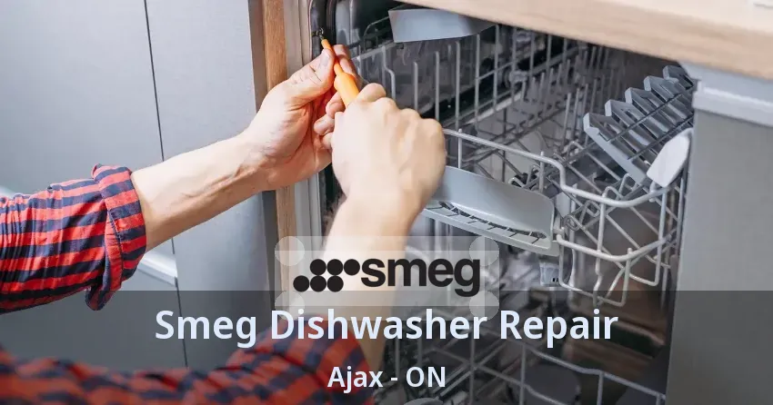 Smeg Dishwasher Repair Ajax - ON