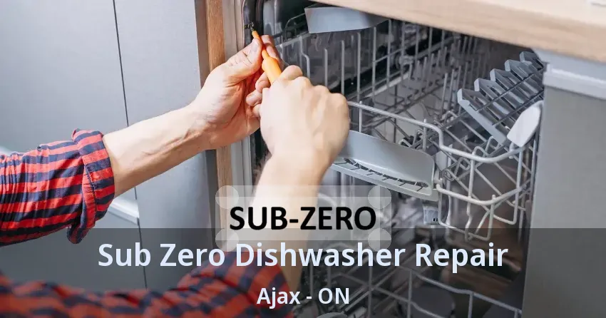 Sub Zero Dishwasher Repair Ajax - ON