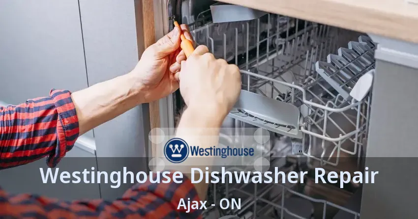 Westinghouse Dishwasher Repair Ajax - ON