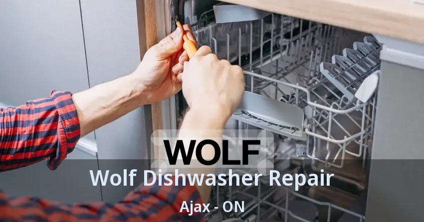 Wolf Dishwasher Repair Ajax - ON