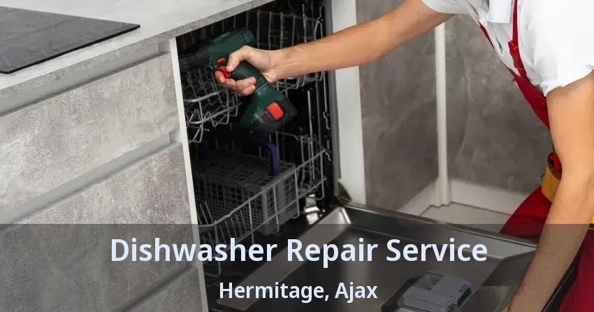 Dishwasher Repair Service Hermitage, Ajax - ON