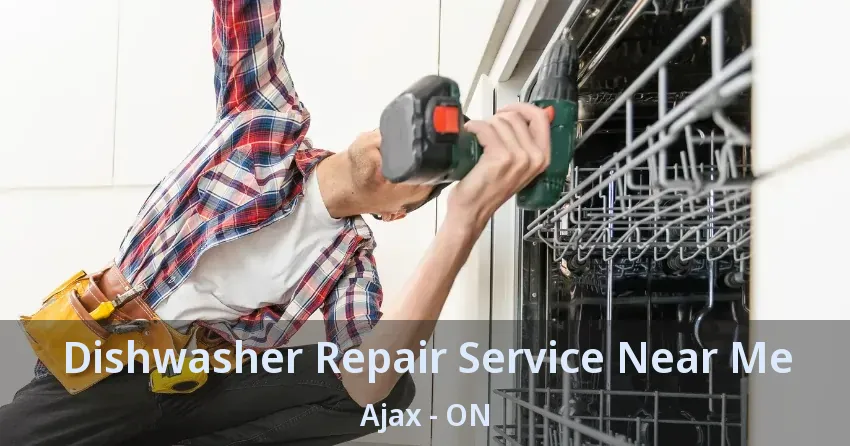 Dishwasher Repair Service Near Me Ajax - ON