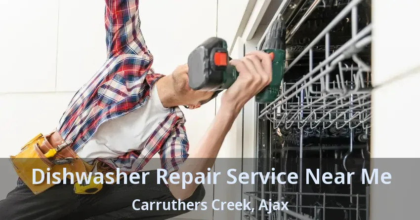 Dishwasher Repair Service Near Me Carruthers Creek, Ajax - ON