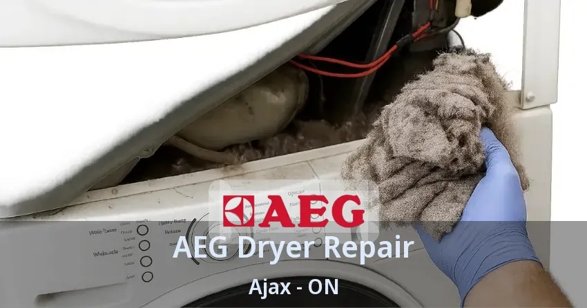 AEG Dryer Repair Ajax - ON