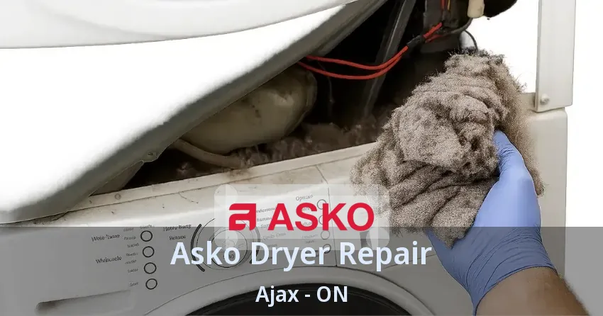 Asko Dryer Repair Ajax - ON