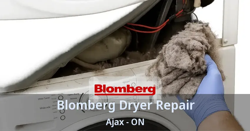 Blomberg Dryer Repair Ajax - ON