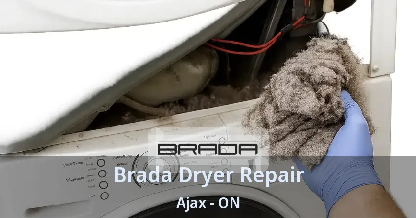 Brada Dryer Repair Ajax - ON