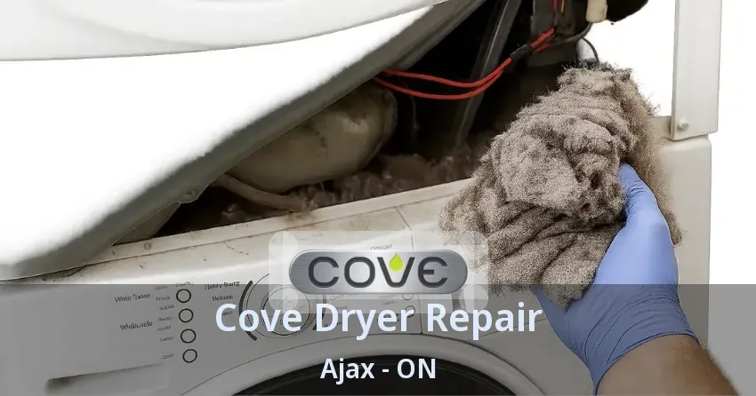 Cove Dryer Repair Ajax - ON