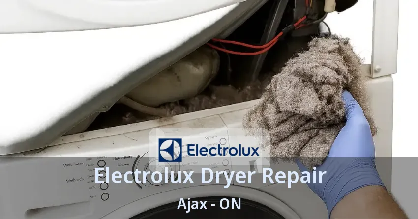Electrolux Dryer Repair Ajax - ON