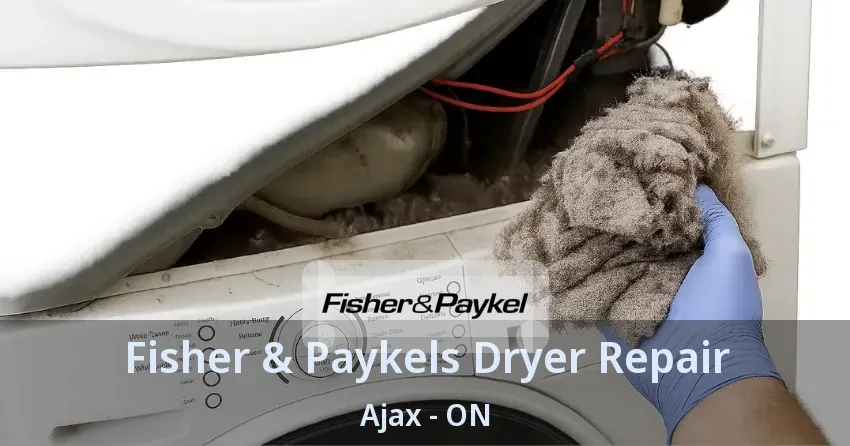 Fisher & Paykels Dryer Repair Ajax - ON