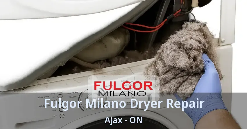 Fulgor Milano Dryer Repair Ajax - ON