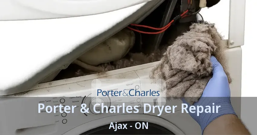 Porter & Charles Dryer Repair Ajax - ON