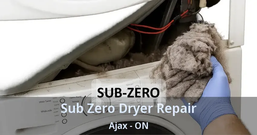 Sub Zero Dryer Repair Ajax - ON