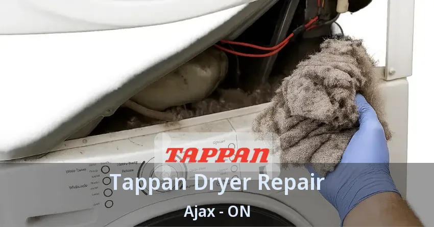 Tappan Dryer Repair Ajax - ON