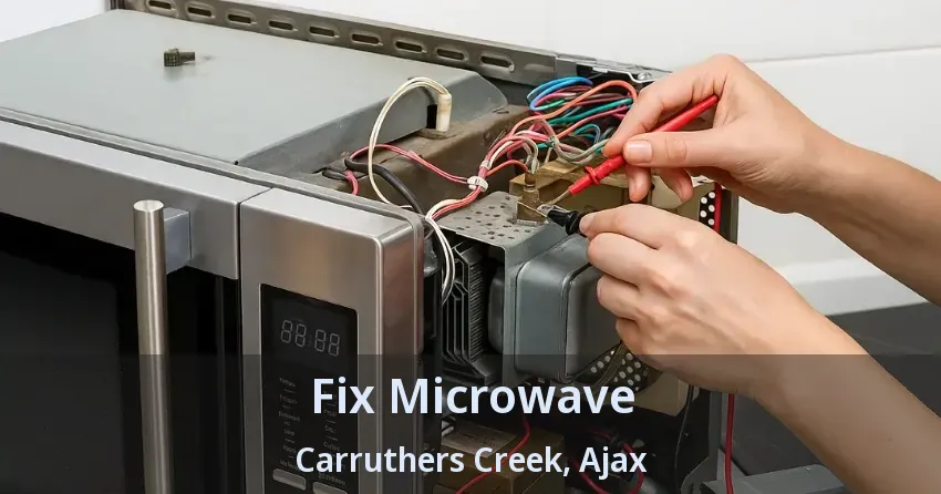 Fix Microwave Carruthers Creek, Ajax - ON