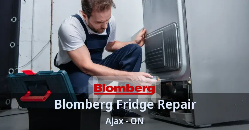 Blomberg Fridge Repair Ajax - ON