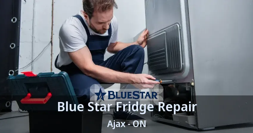 Blue Star Fridge Repair Ajax - ON