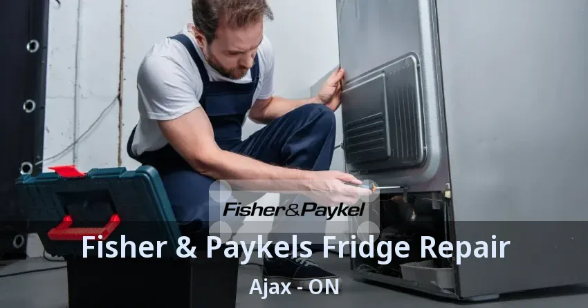 Fisher & Paykels Fridge Repair Ajax - ON