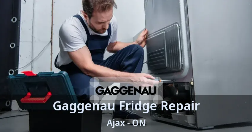 Gaggenau Fridge Repair Ajax - ON