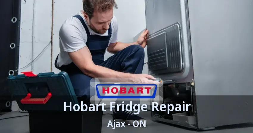 Hobart Fridge Repair Ajax - ON