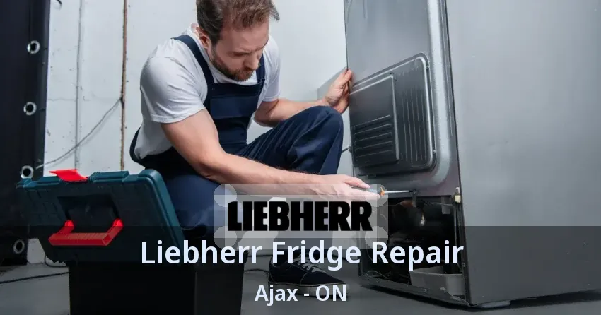 Liebherr Fridge Repair Ajax - ON
