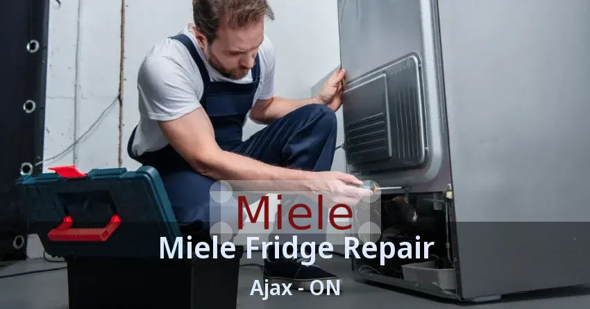Miele Fridge Repair Ajax - ON
