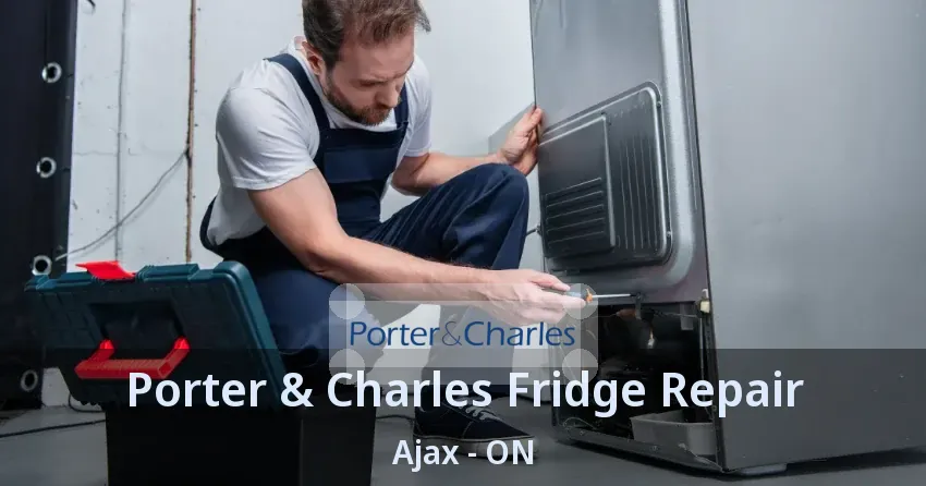 Porter & Charles Fridge Repair Ajax - ON