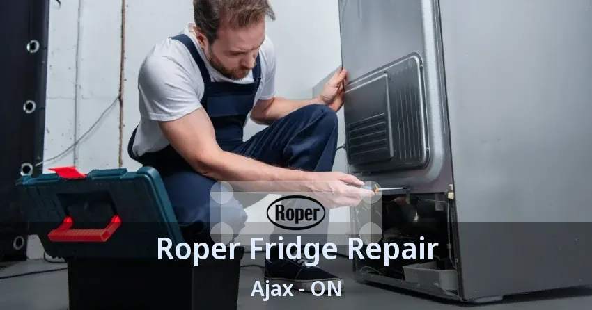 Roper Fridge Repair Ajax - ON