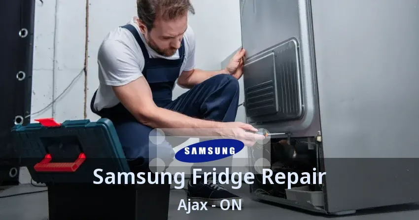 Samsung Fridge Repair Ajax - ON