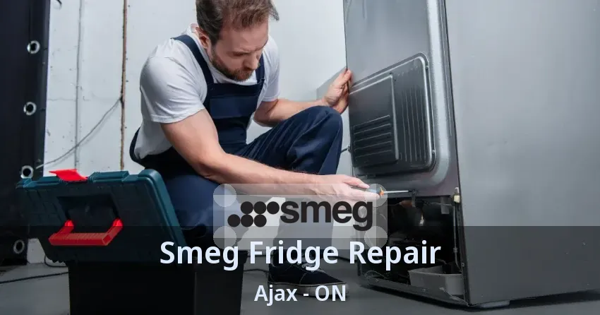 Smeg Fridge Repair Ajax - ON