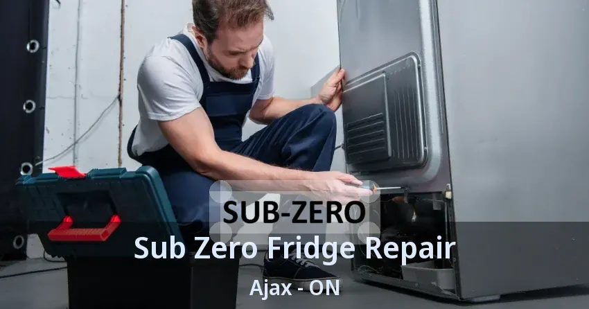 Sub Zero Fridge Repair Ajax - ON