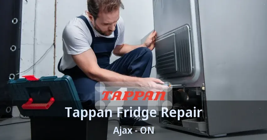 Tappan Fridge Repair Ajax - ON