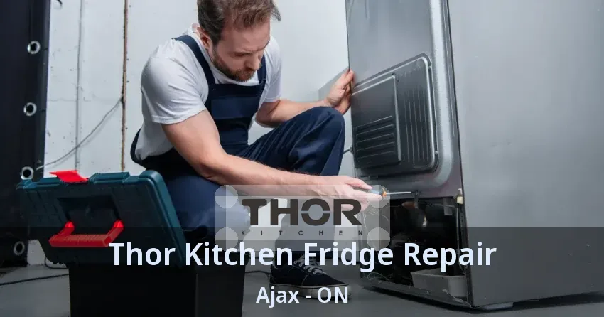 Thor Kitchen Fridge Repair Ajax - ON