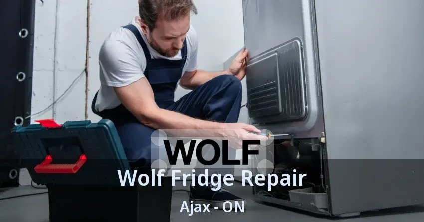 Wolf Fridge Repair Ajax - ON