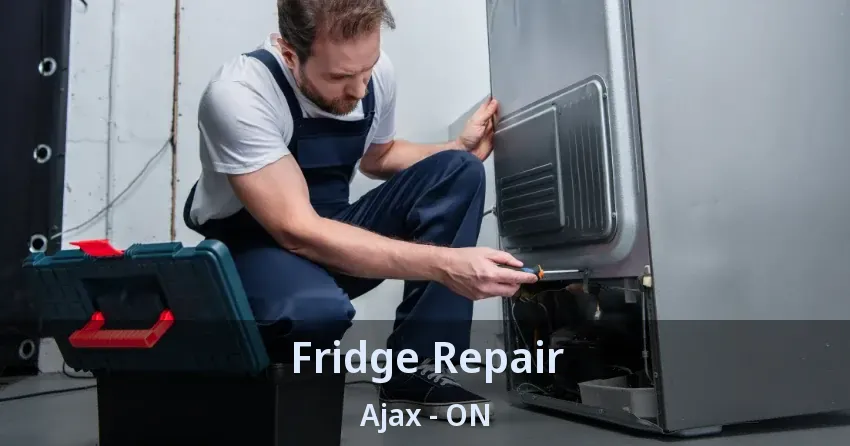 Fridge Repair Ajax - ON