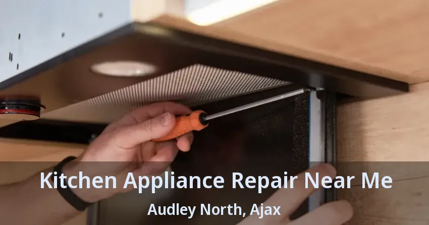 Kitchen Appliance Repair Near Me Audley North, Ajax - ON