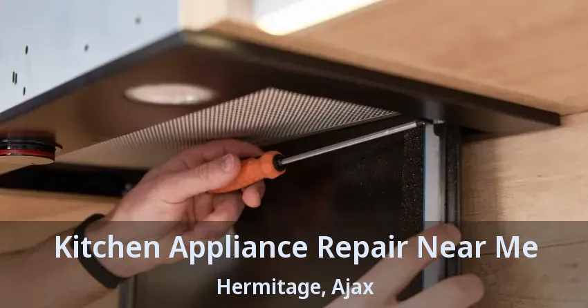 Kitchen Appliance Repair Near Me Hermitage, Ajax - ON
