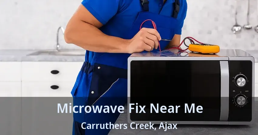 Microwave Fix Near Me Carruthers Creek, Ajax - ON